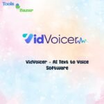 VidVoicer - AI Text to Voice Software
